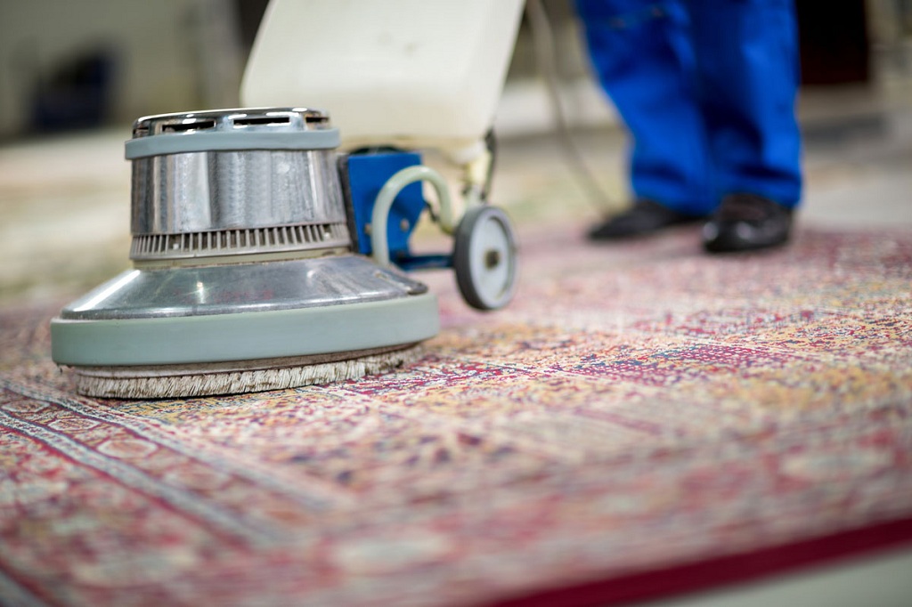 Restore and Clean Water Damaged Carpet Easily