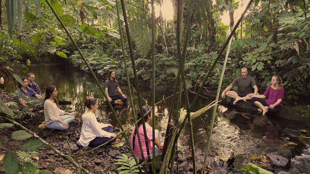 Ayahuasca Medicine That Connects Our Mind to Ascended Level Of Consciusness