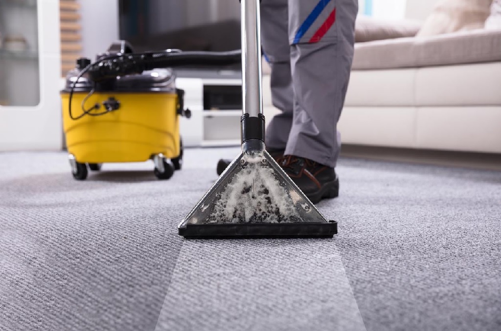 Carpet Cleaning Lane Cove: The Professionals in Flood Defense