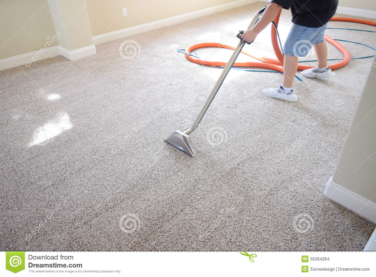 Take Advantage of the Magic of Dry Wet Carpet Agents for Perfect Floors