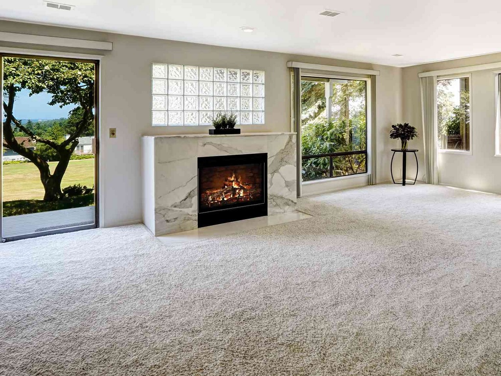 Experts from North Shore reveal the Actual Value of Professional Carpet Cleaning